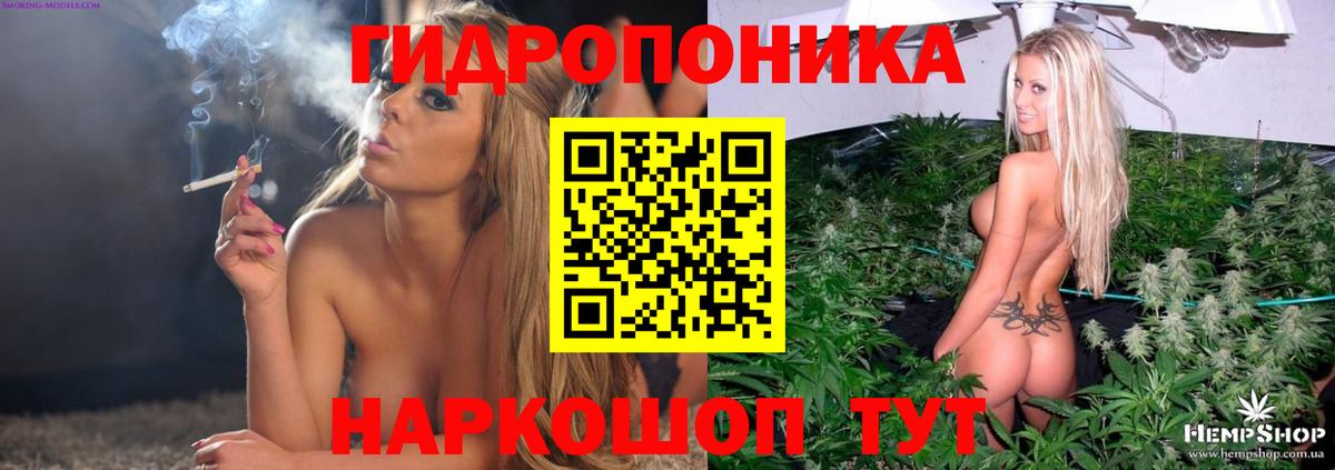 Конопля план Сертолово